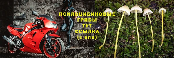 таблы Верхний Тагил